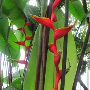 Meet your Posher, Iliana